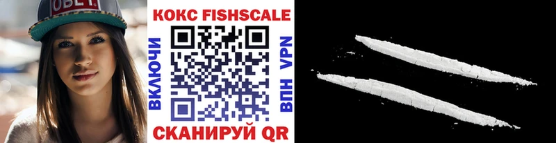 mega ссылка  мориарти официальный сайт  COCAIN Fish Scale  хочу   Нижний Новгород 