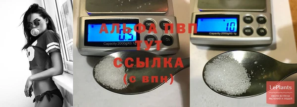 шишки Богородицк