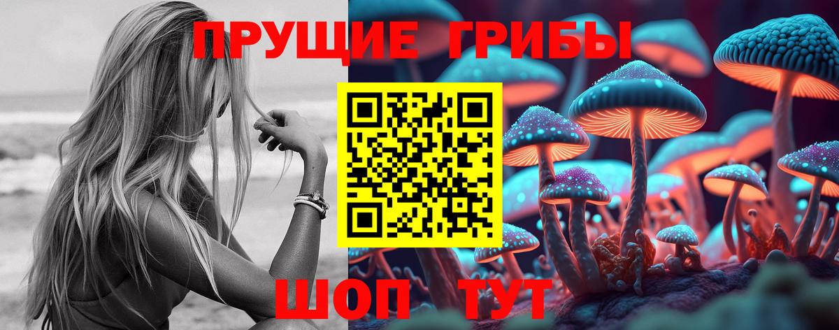 Псилоцибиновые грибы GOLDEN TEACHER Нижний Новгород