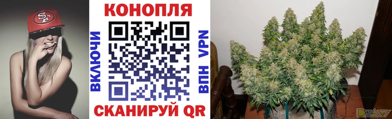 Бошки Шишки план  Нижний Новгород 