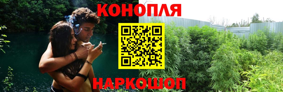 Шишки марихуана сатива Нижний Новгород